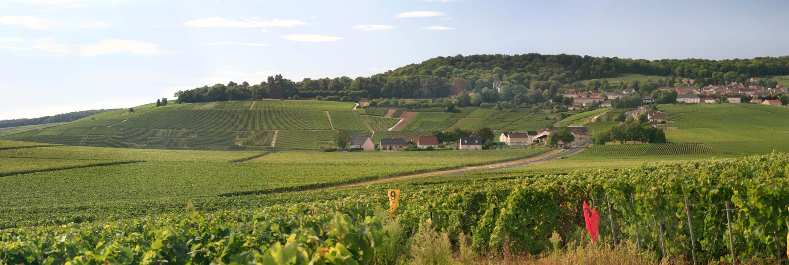 Hautvillers