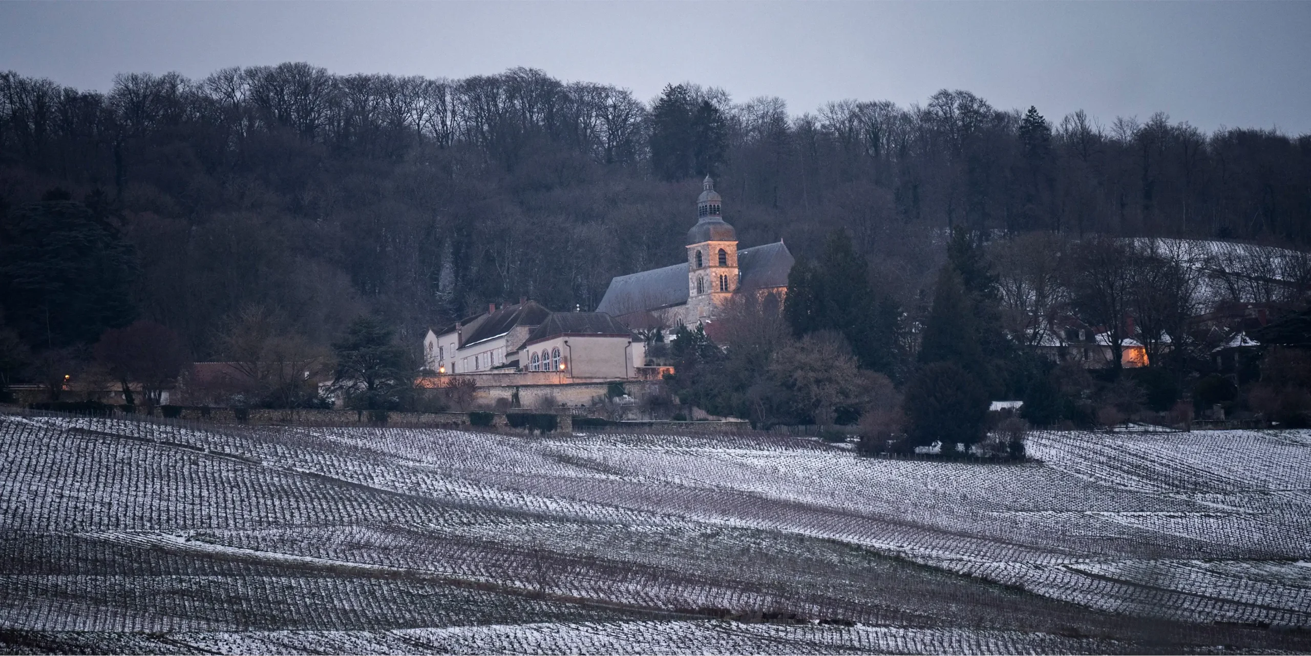 Hautvillers sous la neige