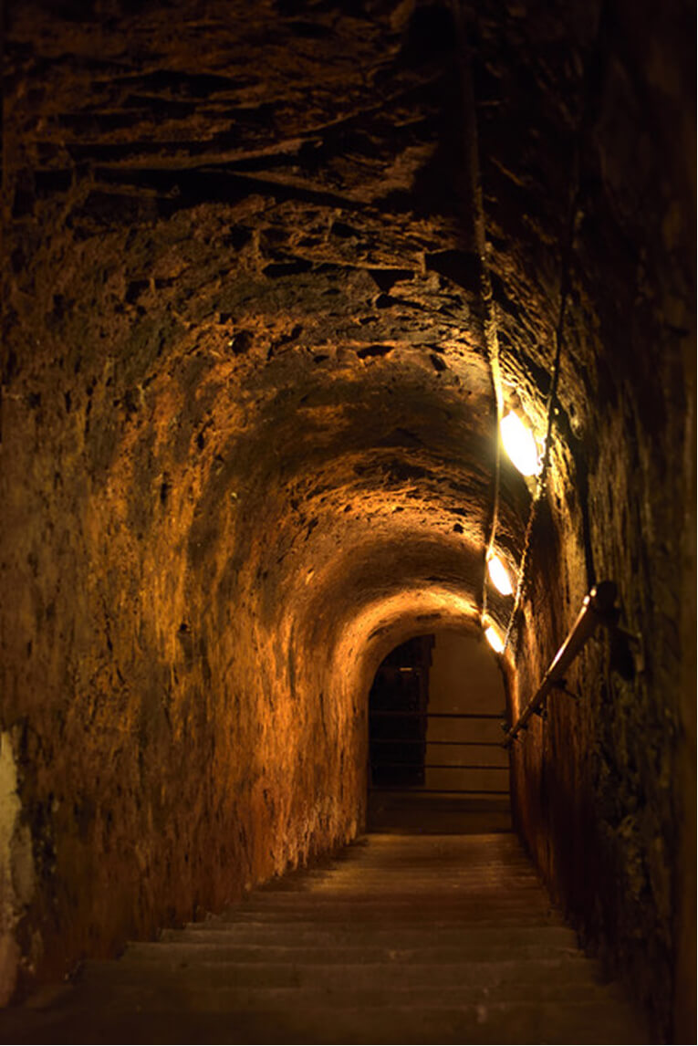Cave du Champagne Berceau du Champagne