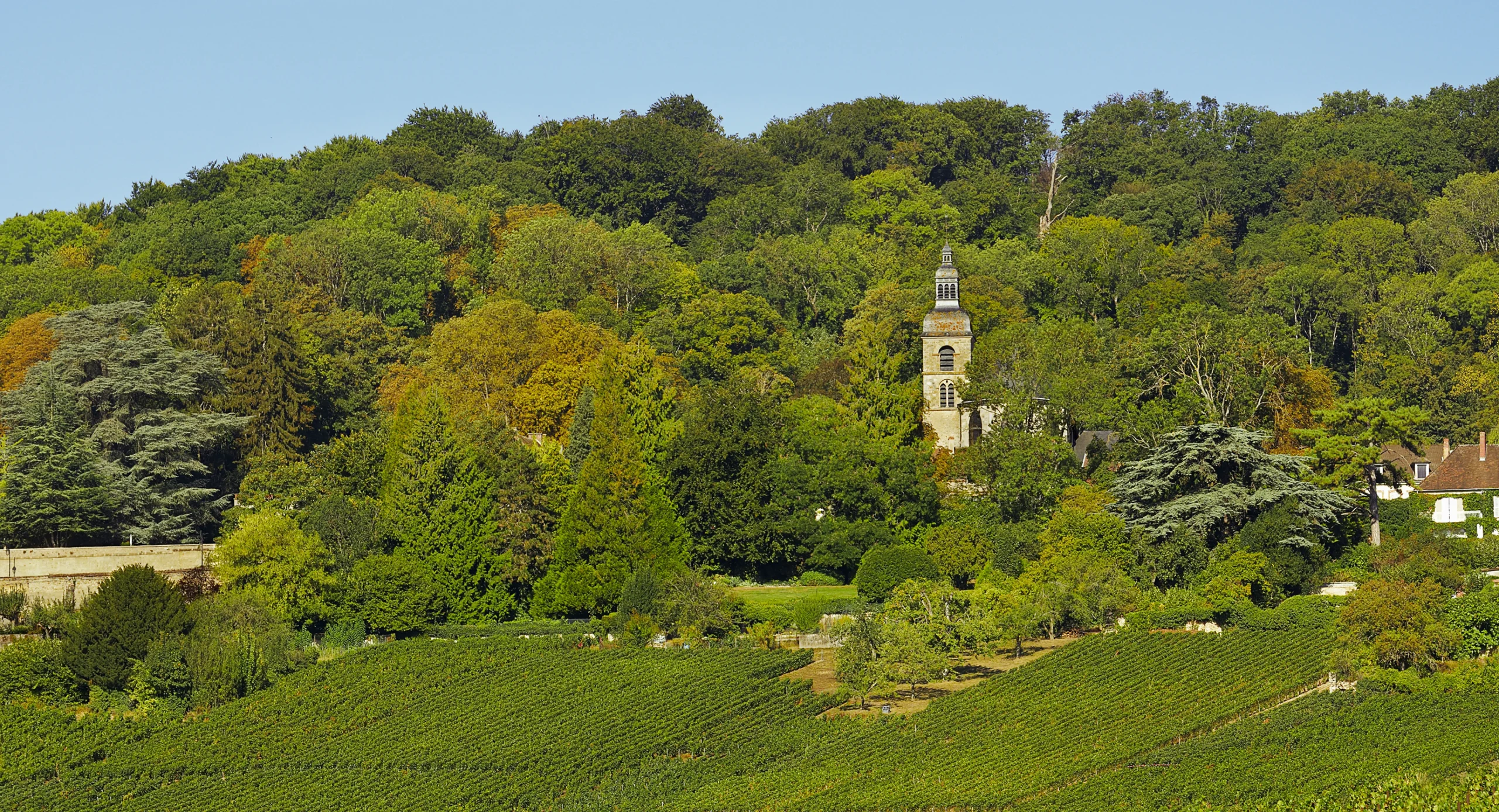 Vue sur l'Abbaye Saint-Pierre d'Hautvillers