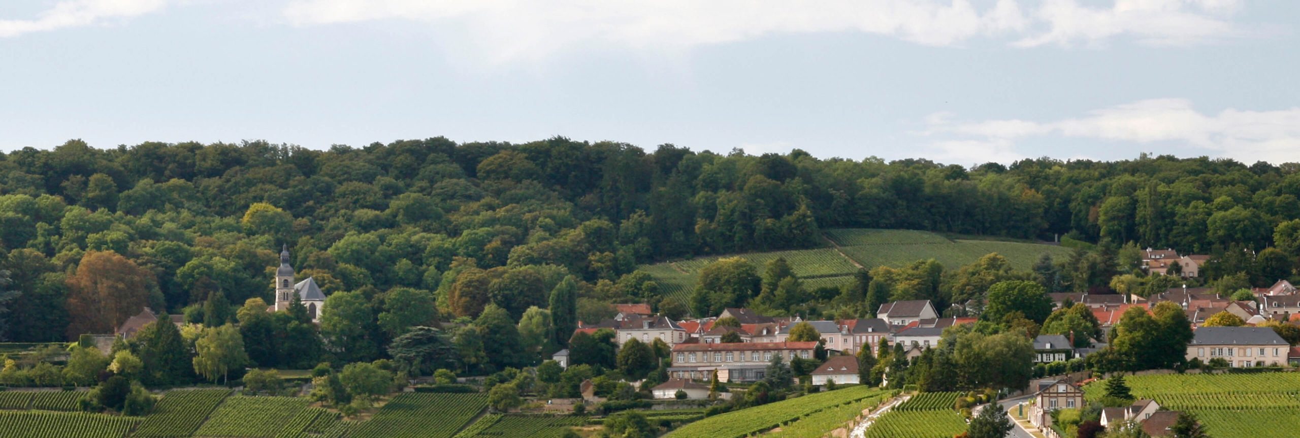Point de vue sur Hautvillers