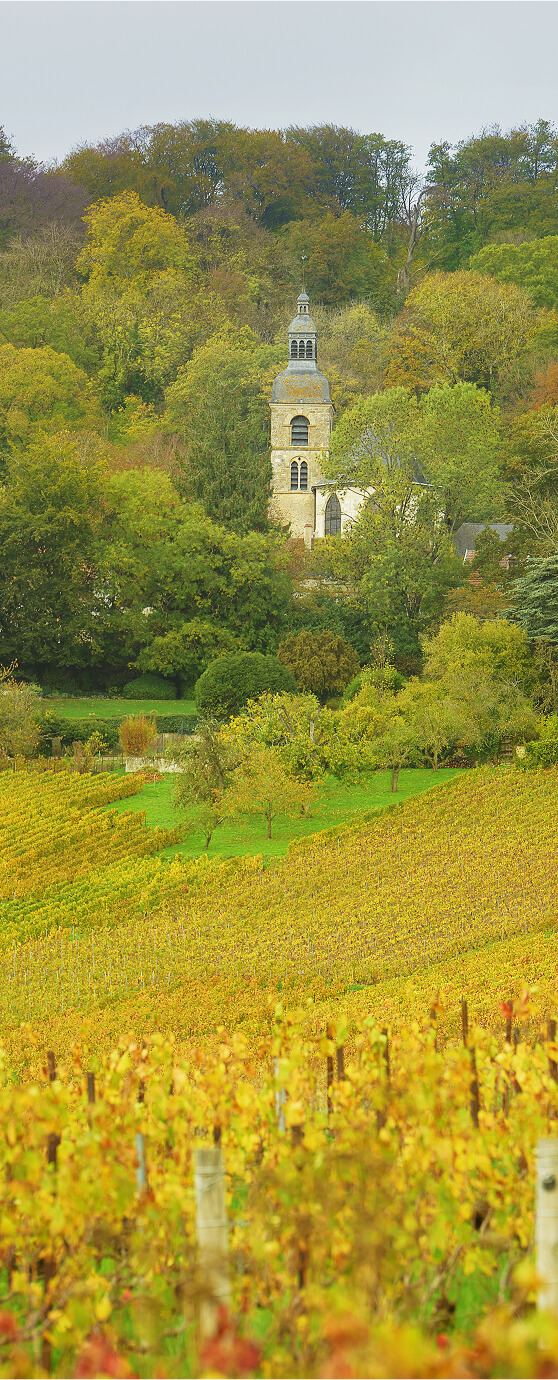 Vue sur l'Abbaye Saint-Pierre d'Hautvillers